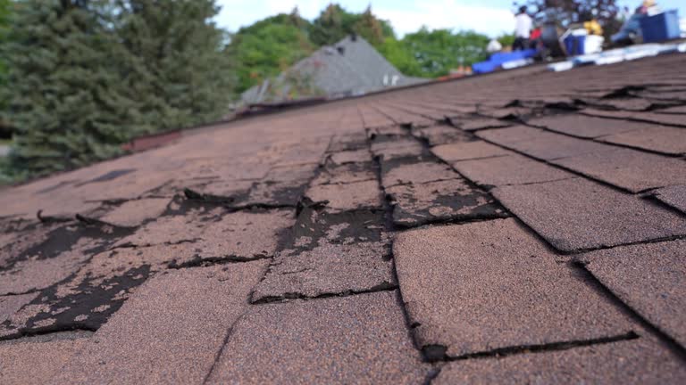 Best Roof Installation  in Sheldon, TX
