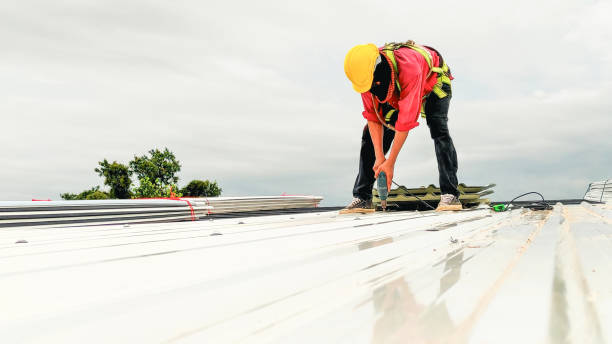 Best Commercial Roofing Services  in Sheldon, TX