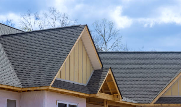 Best Roof Insulation Installation  in Sheldon, TX