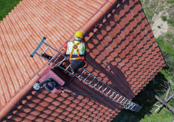 Best Roof Ventilation Installation  in Sheldon, TX