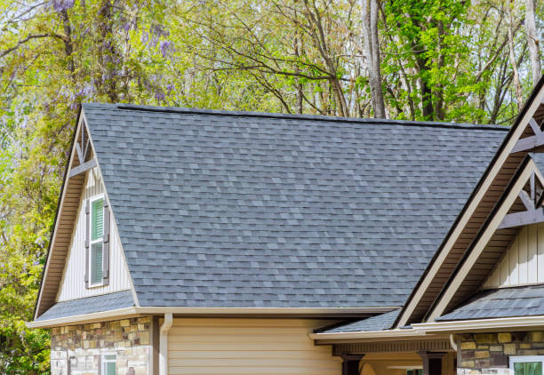 Best Green or Eco-Friendly Roofing Solutions  in Sheldon, TX